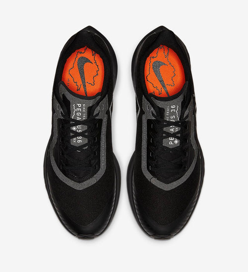Nike Zoom Pegasus 36 Trail GORE-TEX